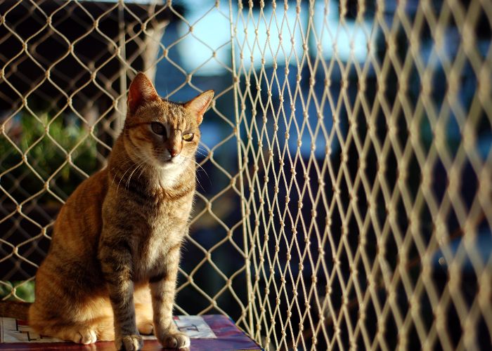 Redes de Proteção para Gatos em Ferraz de Vasconcelos