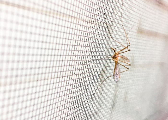 Tela Mosquiteiro Retrátil para Porta e Janela