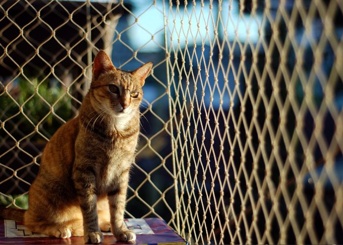 Tela de Proteção para Sacada de Apartamento