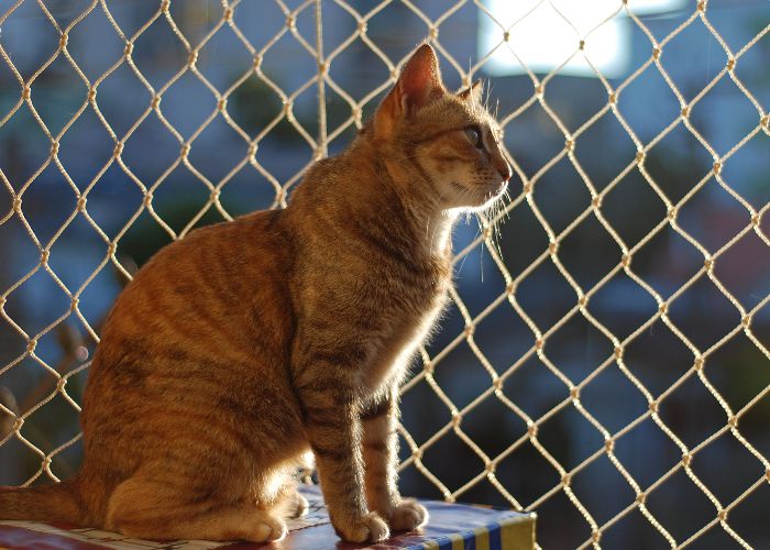 tela de proteção apartamento